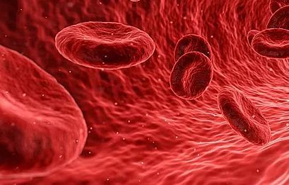 体外生产红细胞助力解决血源紧缺世界难题